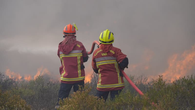 Les pompiers interviennent sur un feu d'espace naturel qui s'est déclaré sur la commune de Vidauban, ce mardi 11 juin 2024.
