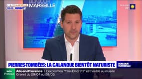 Marseille: la calanque des Pierres Tombées bientôt naturiste