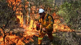 Un pompier allume un feu volontaire dans les Montagnes Bleues, le 21 octobre.