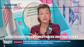 Comment trois familles sur 4 utilisent des pesticides à la maison sans s'en rendre compte