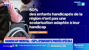 Île-de-France: plus d'un enfant sur deux en situation de handicap n'a pas de place adaptée en milieu scolaire