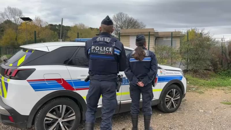 170 affaires, 14 agents: le bilan de la brigade de l'environnement à Marseille, un an après sa création