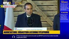 Iran: Sébastien Lecornu affirme que "la région n'est pas à l'abri d'une nouvelle escalade"