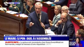 ÉDITO - "Le RN chercher à exister" après l'altercation entre Bruno Le Maire et le député Alexandre Loubet à l'Assemblée