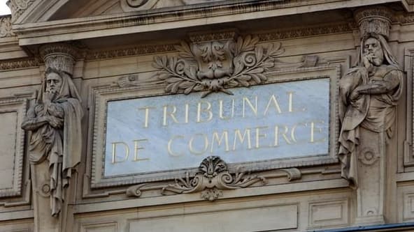 Le tribunal de commerce de Paris se prononcera fin décembre sur une éventuelle reprise de Viadeo. 