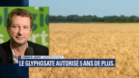 Renouvellement du glyphosate: Yannick Jadot parle d'un "Black Monday pour la santé"