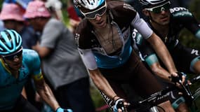 Bardet
