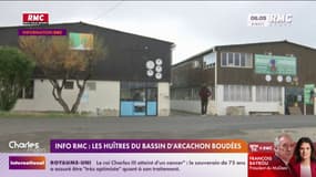 INFO RMC : les huîtres du bassin d'Arcachon boudées