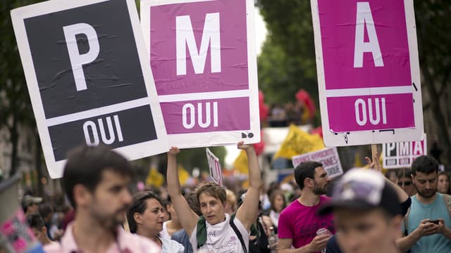 Des manifestants tiennent des pancartes en faveur de la PMA lors de la Marche des fiertés le 29 juin 2013 à Paris.