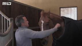 Equitation : Olivier Robert côté pile et côté face