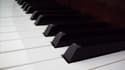 Le piano de Berlioz a été acheté 55.000 euros. 