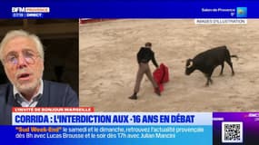 L'interdiction de la corrida aux moins de 16 ans en débat: André Viard défend "une école de respect"