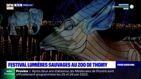 Paris Go : Festival lumières sauvages au zoo de Thoiry - 27/11
