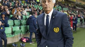 Vahid Halilhodzic.