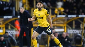 Matheus Cunha avec Wolverhampton, à Molineux le 14 décembre 2024