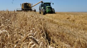 Le nouveau plan d'aide à l'agriculture devrait bénéficier en premier lieu aux céréaliers (illustration)