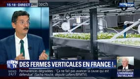Les fermes verticales arrivent en France ! 