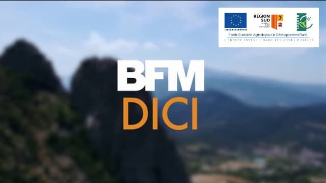 BFM DICI, partenaire de la Région Sud et de l'Union européenne.
