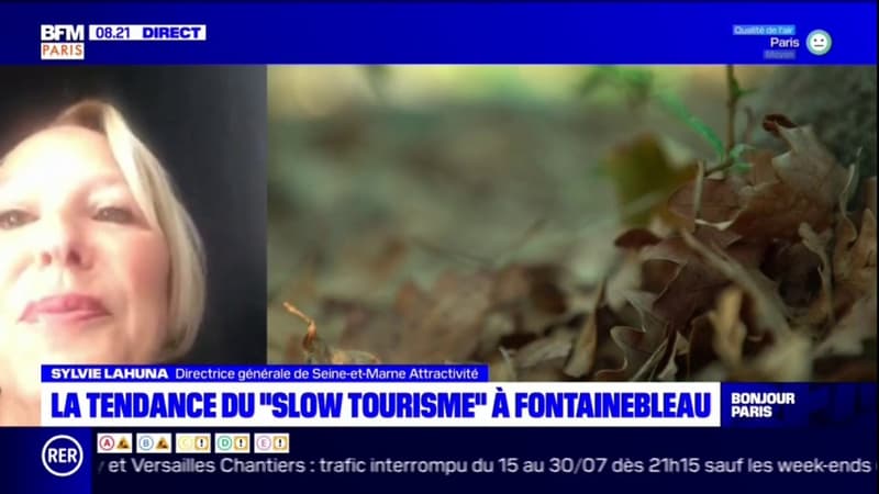 Seine-et-Marne: "L'idée, c’est de se déconnecter", explique la directrice générale de Seine-et-Marne Attractivité, sur le slow tourisme