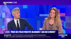 LA VÉRIF' - Les prix de l'électricité sont-ils bloqués six mois ou un an ?