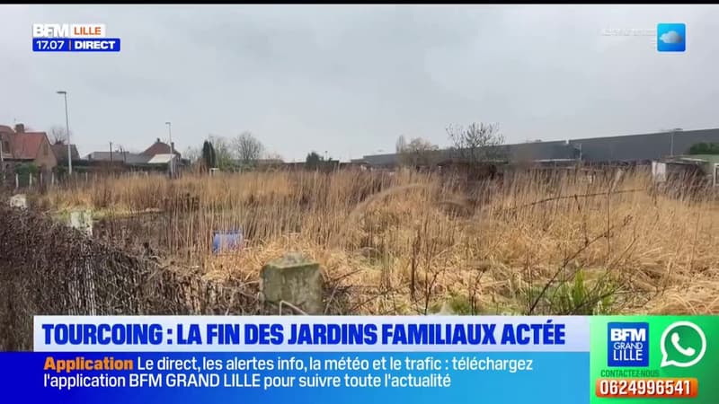 Tourcoing: un centre commercial bientôt installé sur des jardins familiaux