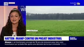 Hatten: mobilisation contre le projet de site industriel d'exploitation géothermique 