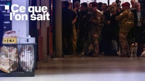 Des militaires de l'opération Sentinelle à la gare Montparnasse à Paris, le 14 novembre 2025, après qu'un policier a tiré sur un homme armé d'un couteau.