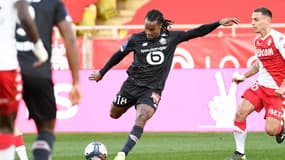 Renato Sanches (LOSC)