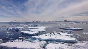 Des morceaux de banquise en Antarctique