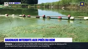 La baignade est toujours interdite aux Prés du Hem