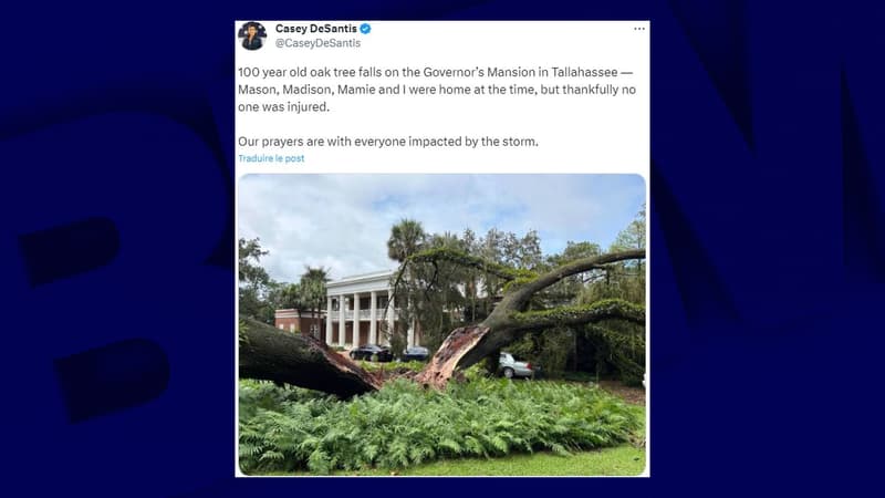 Ouragan Idalia: un chêne centenaire tombe sur le manoir du gouverneur de Floride Ron DeSantis