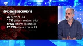 Covid-19: quelles situation dans les hôpitaux ? - 07/08