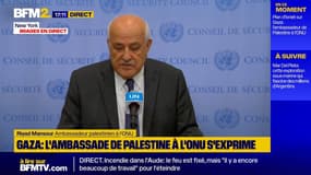 Gaza: "Notre objectif est d'arrêter cette terrible escalade d'Israël", déclare Riyad Mansour, ambassadeur palestinien à l'ONU