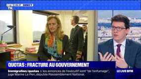 Quotas : fracture au gouvernement - 06/11