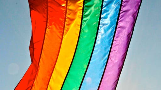 Plusieurs idées fausses circulent sur le projet de loi pour le mariage homo.