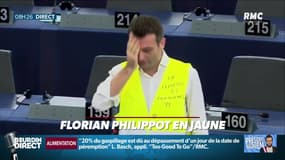 Président Magnien ! : Florian Philippot vêtu d'un gilet jaune au Parlement européen - 12/02