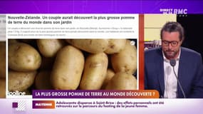 Les histoires de Charles Magnien  : La plus grosse pomme de terre au monde découverte ? - 09/11