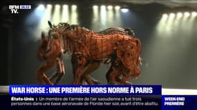 War Horse : une première hors norme à Paris - 07/12