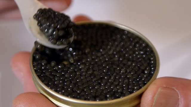 Le caviar à 1€ le gramme, la nouvelle recette de Labeyrie