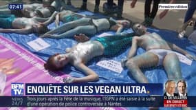 Ils militent pour que l'animal soit considéré à l'égal de l'Homme... Qui sont les vegan ultra ?