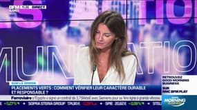 Placements verts: comment vérifier leur caractère durable et responsable ? 