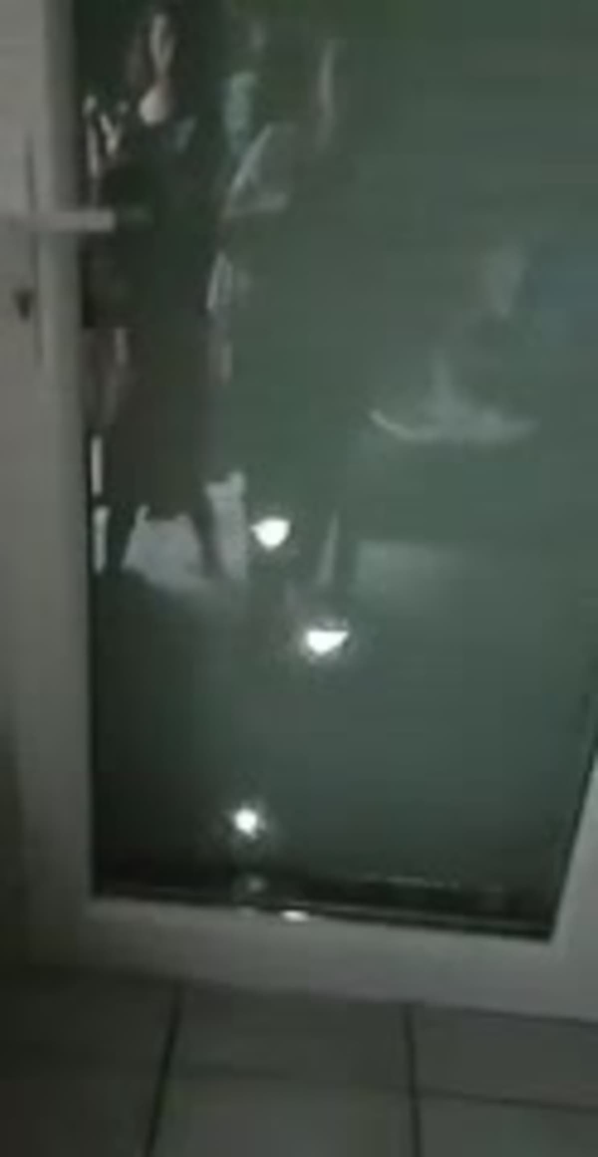 placeholder video