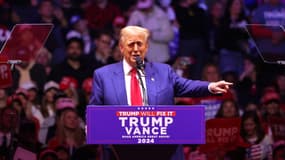 L'ancien président des États-Unis et candidat républicain à la prochaine présidentielle américaine, Donald Trump, le 27 octobre lors d'un meeting à New York