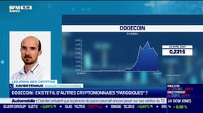 Le cours du Dogecoin explose de 400% en une semaine: quelle blague !