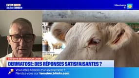 Dermatose nodulaire : le moral des éleveurs d'Auvergne-Rhône-Alpes est meilleur