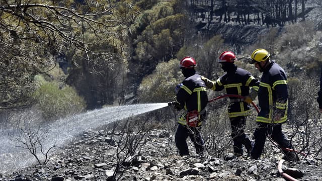 Des pompiers en train d'éteindre un incendie dans les Pyrénées-Orientales (photo d'illustration).