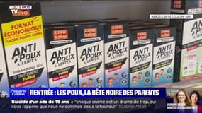 Les poux, la bête noire des parents, font aussi leur rentrée sur la tête des enfants