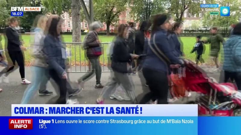 Un parcours de marche en plein coeur de Colmar 