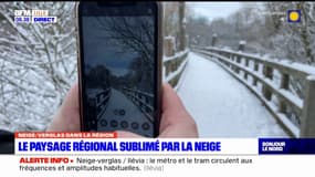Neige et verglas dans les Hauts-de-France: le paysage régional sublimé par la neige