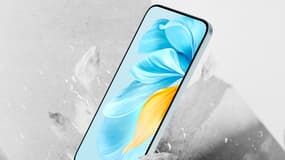 Le Honor 200 Lite. 
